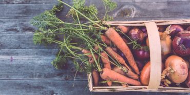 meilleurs blogs sur le jardinage