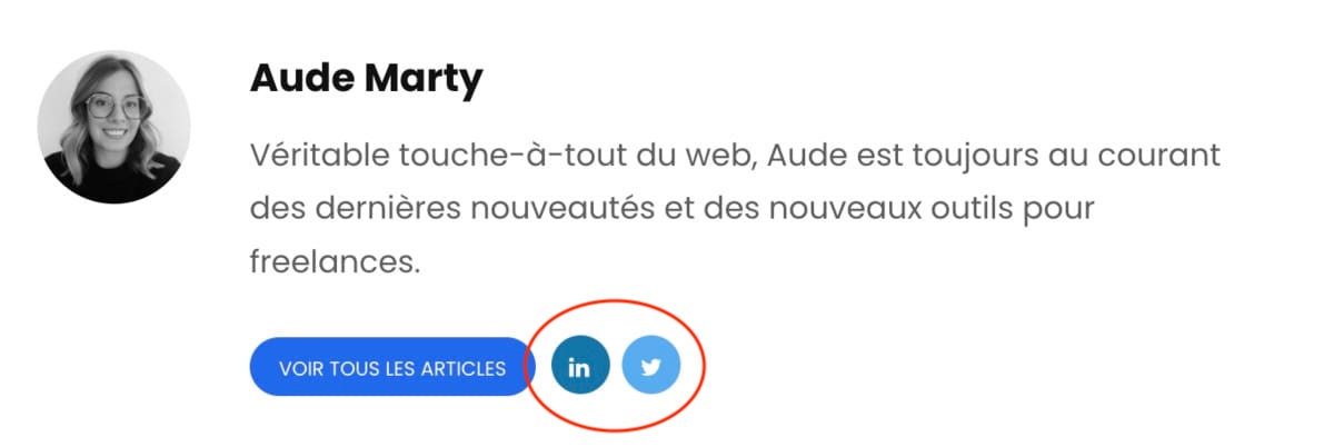 liens réseaux sociaux bloc auteur